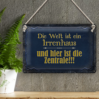 Blechschild Spruch 30x20cm Welt ist ein Irrenhaus und