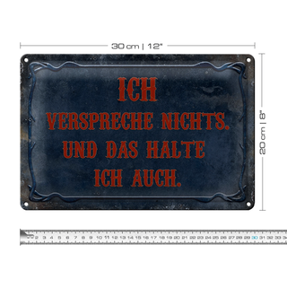 Blechschild Spruch 30x20cm verspreche nichts das halte auch