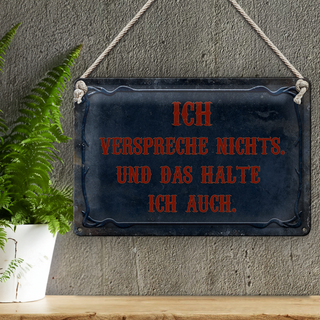 Blechschild Spruch 30x20cm verspreche nichts das halte auch