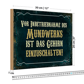 Holzschild Spruch 30x20cm vor Inbetriebnahme des Mundwerks