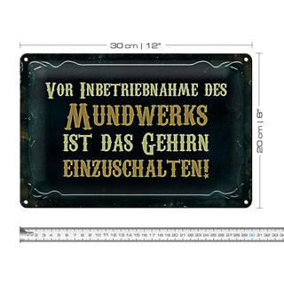 Blechschild Spruch 30x20cm vor Inbetriebnahme des Mundwerks