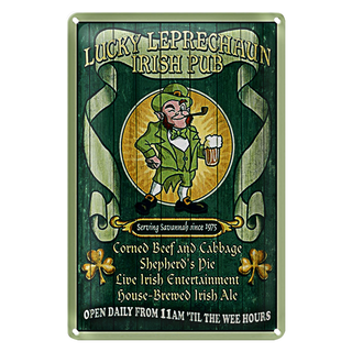 Blechschild Bier 20x30cm Irish Pub open daily from 11am