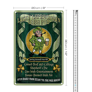 Blechschild Bier 20x30cm Irish Pub open daily from 11am