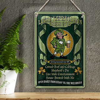 Blechschild Bier 20x30cm Irish Pub open daily from 11am
