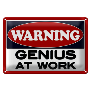 Blechschild Spruch 30x20cm Warning Genius at work