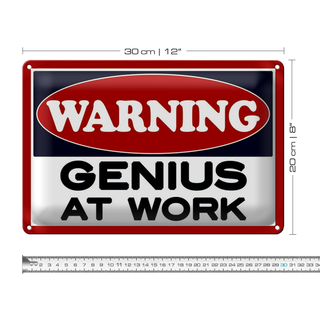 Blechschild Spruch 30x20cm Warning Genius at work
