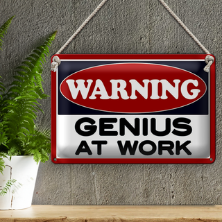 Blechschild Spruch 30x20cm Warning Genius at work