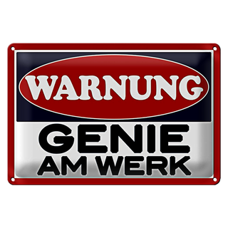 Blechschild Spruch 30x20cm Warnung Genie am Werk