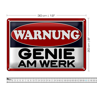 Blechschild Spruch 30x20cm Warnung Genie am Werk