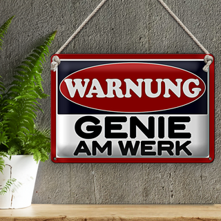 Blechschild Spruch 30x20cm Warnung Genie am Werk