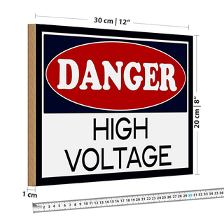 Holzschild Spruch 30x20cm Danger high voltage
