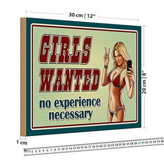 Holzschild Pinup 30x20cm Girls wanted no experience