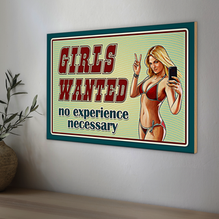 Holzschild Pinup 30x20cm Girls wanted no experience