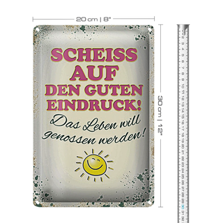 Blechschild Spruch 20x30cm Scheiss auf guten Eindruck Leben