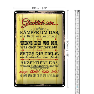 Blechschild Spruch 20x30cm Glücklich singe lächle liebe