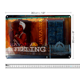 Blechschild Spruch 30x20cm Havanna Feeling Frau mit Zigarre