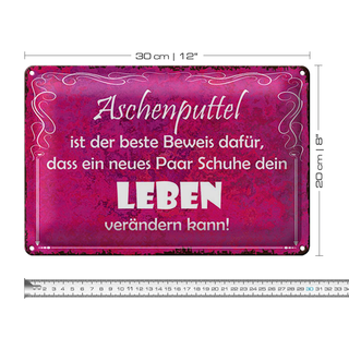 Blechschild Spruch 30x20cm Aschenputtel Schuhe ändern Leben