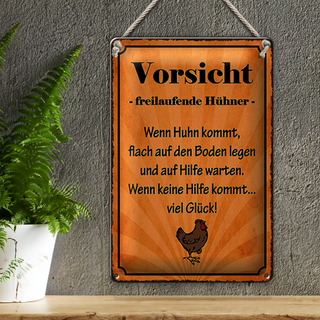 Blechschild Spruch 20x30cm Vorsicht freilaufende Hühner