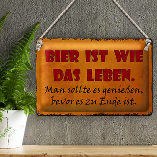 Blechschild Spruch 30x20cm Bier ist wie das Leben man soll