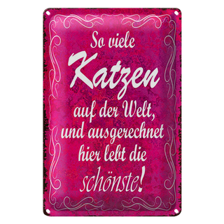 Blechschild Spruch 20x30cm so vilele Katzen auf der Welt