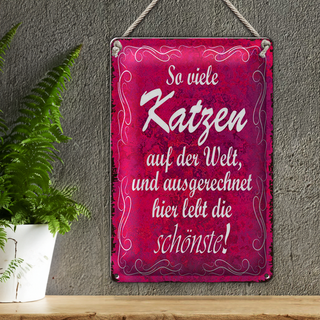Blechschild Spruch 20x30cm so vilele Katzen auf der Welt