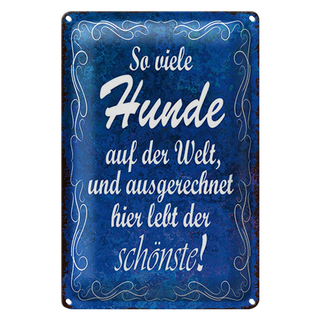 Blechschild Spruch 20x30cm so vielen Hunde auf der Welt