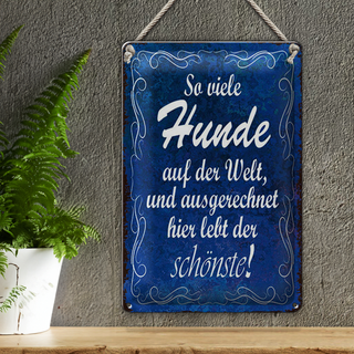 Blechschild Spruch 20x30cm so vielen Hunde auf der Welt