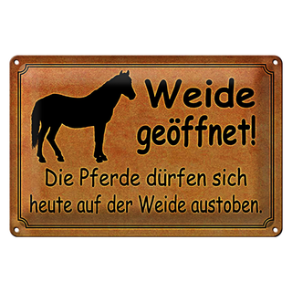Blechschild Spruch 30x20cm Weide geöffnet Pferde dürfen