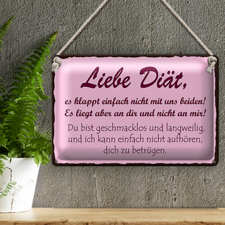 Blechschild Spruch 30x20cm liebe Diät klappt einfach nicht