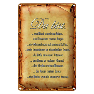 Blechschild Spruch 20x30cm Du bist Glück in meinem Leben