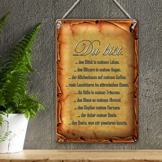 Blechschild Spruch 20x30cm Du bist Glück in meinem Leben