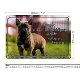 Blechschild Spruch 30x20cm Hunde sind Gottes Entschädigung