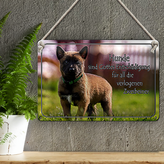 Blechschild Spruch 30x20cm Hunde sind Gottes Entschädigung