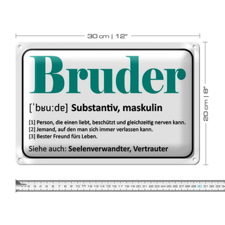 Blechschild Spruch 30x20cm Bruder Person die einen liebt