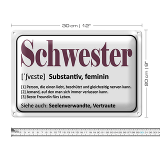 Blechschild Spruch 30x20cm Schwester Person die einen liebt