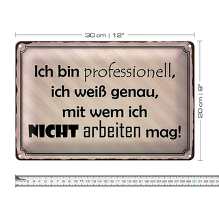 Blechschild Spruch 30x20cm ich bin professionell ich weiß