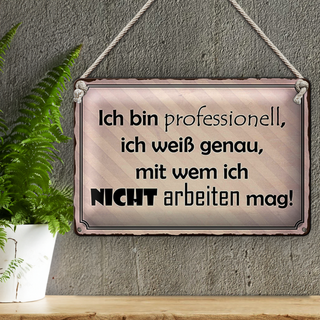 Blechschild Spruch 30x20cm ich bin professionell ich weiß
