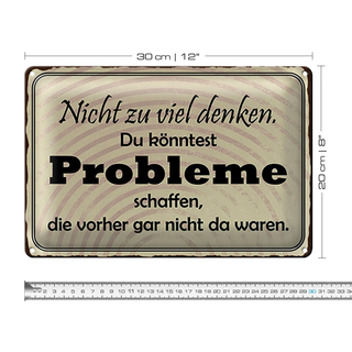 Blechschild Spruch 30x20cm nicht viel denken können Problem