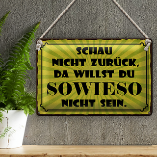 Blechschild Spruch 30x20cm schau nicht zurück