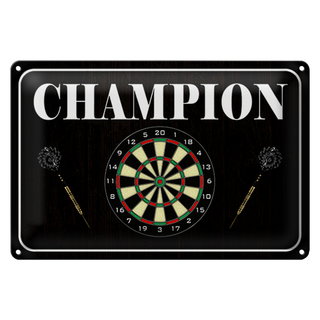 Blechschild Spruch 30x20cm Darts Champion
