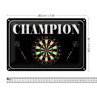 Blechschild Spruch 30x20cm Darts Champion