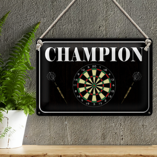 Blechschild Spruch 30x20cm Darts Champion