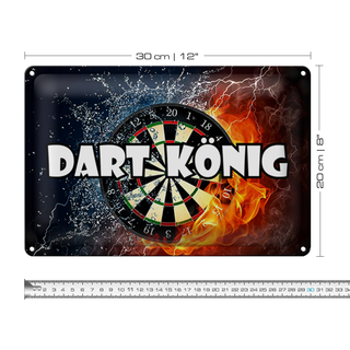 Blechschild Spruch 30x20cm Darts Dart König