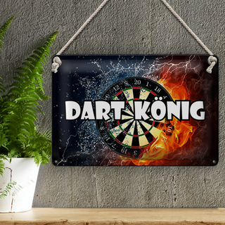 Blechschild Spruch 30x20cm Darts Dart König