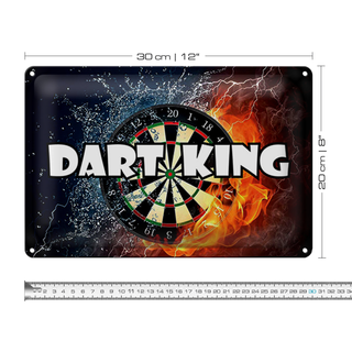 Blechschild Spruch 30x20cm Darts Dart King Wanddeko