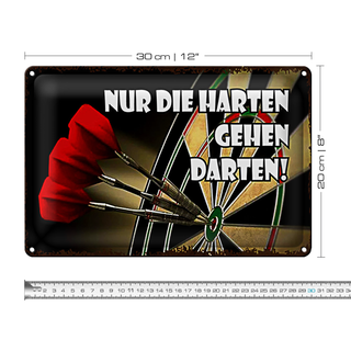 Blechschild Spruch 30x20cm nur die harten gehen darten