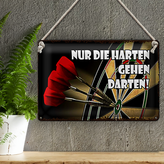 Blechschild Spruch 30x20cm nur die harten gehen darten