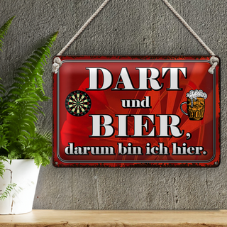Blechschild Spruch 30x20cm Dart und Bier darum bin ich hier
