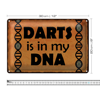 Blechschild Spruch 30x20cm Darts is in my DANN