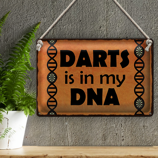 Blechschild Spruch 30x20cm Darts is in my DANN